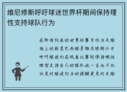 维尼修斯呼吁球迷世界杯期间保持理性支持球队行为